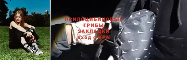 прущие грибы Бородино
