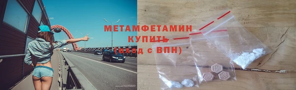 прущие грибы Бородино