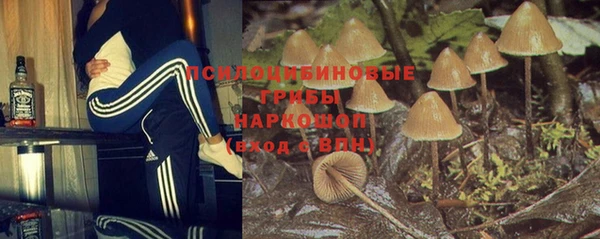 мдпв Струнино
