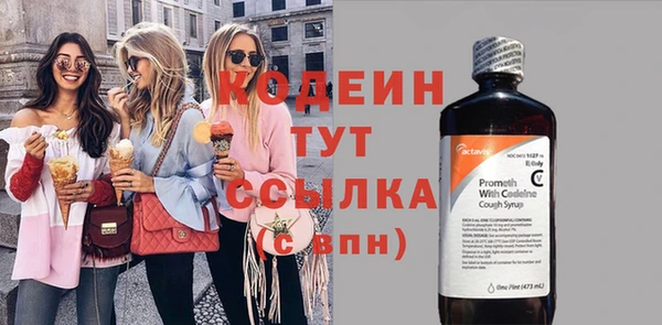 прущие грибы Бородино