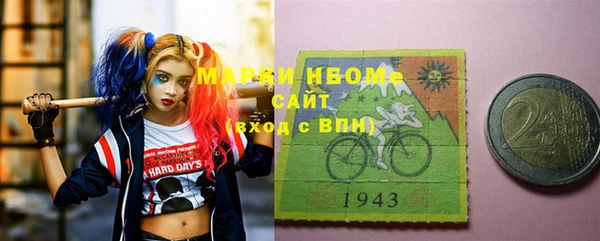 прущие грибы Бородино
