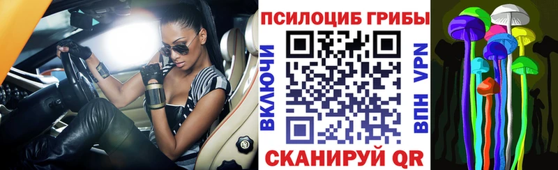 Псилоцибиновые грибы Psilocybe  Коркино 